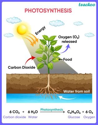 do flowers do photosynthesis