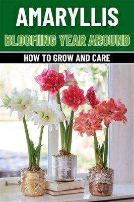 how to take care of flowers: the secret to growing a garden that blooms all year round